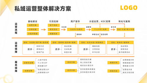 軟件運營服務公司產品介紹PPT模板
